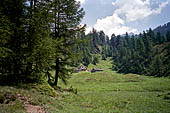 Alpe Devero - lungo il sentiero che sale a Crampiolo.